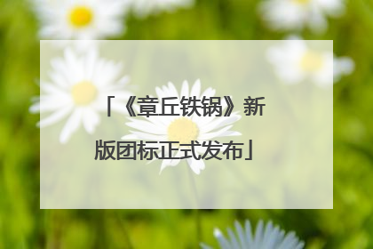 《章丘铁锅》新版团标正式发布