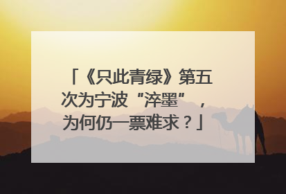 《只此青绿》第五次为宁波“淬墨”，为何仍一票难求？