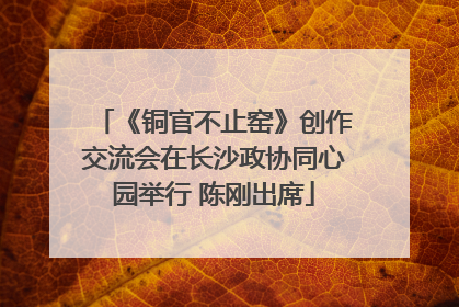 《铜官不止窑》创作交流会在长沙政协同心园举行 陈刚出席