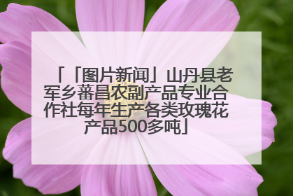 「图片新闻」山丹县老军乡蕃昌农副产品专业合作社每年生产各类玫瑰花产品500多吨
