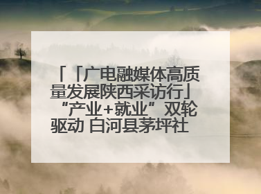 「广电融媒体高质量发展陕西采访行」“产业+就业”双轮驱动 白河县茅坪社区打造易地搬迁后扶新样本