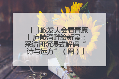 「旅发大会看青原」庐陵湾畔绘新景：采访团沉浸式解码“诗与远方”（图）