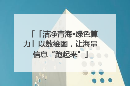 「洁净青海•绿色算力」以数绘图，让海量信息“跑起来”
