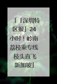 「深圳特区报」24小时！岭南荔枝乘专线 枝头直飞新加坡