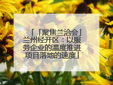「聚焦兰洽会」兰州经开区：以服务企业的温度推进项目落地的速度
