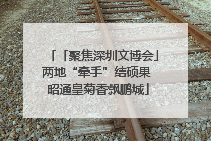 「聚焦深圳文博会」两地“牵手”结硕果 昭通皇菊香飘鹏城