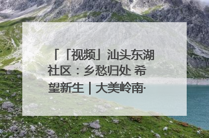 「视频」汕头东湖社区：乡愁归处 希望新生｜大美岭南·百村焕新记