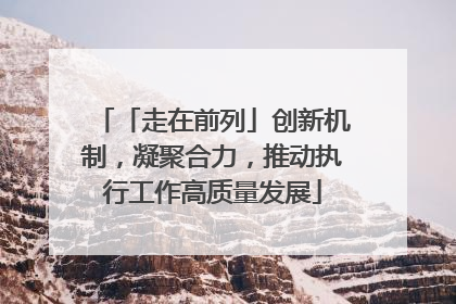 「走在前列」创新机制，凝聚合力，推动执行工作高质量发展