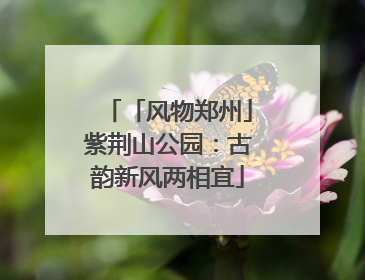 「风物郑州」紫荆山公园：古韵新风两相宜