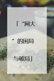 “网大”的困局与破局