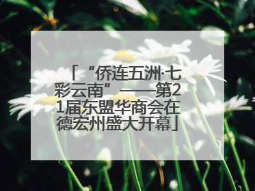 “侨连五洲·七彩云南”——第21届东盟华商会在德宏州盛大开幕