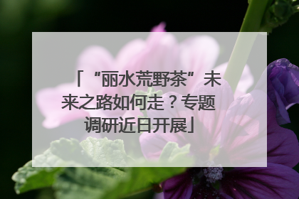 “丽水荒野茶”未来之路如何走？专题调研近日开展