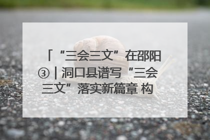 “三会三文”在邵阳③｜洞口县谱写“三会三文”落实新篇章 构建协同联动大格局