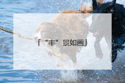 “丰”景如画