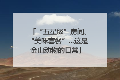 “五星级”房间、“美味套餐”…这是金山动物的日常