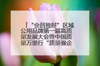 “会昌独好”区域公用品牌第一届高质量发展大会暨中国质量万里行“质量强企•质品行动”进会昌启动仪式成功举办