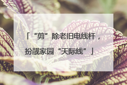 “剪”除老旧电线杆，扮靓家园“天际线”