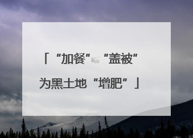 “加餐”“盖被” 为黑土地“增肥”
