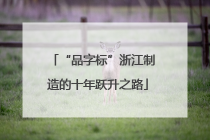 “品字标”浙江制造的十年跃升之路