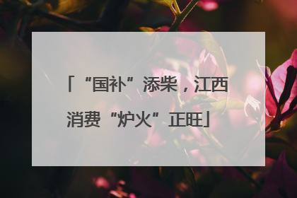 “国补”添柴，江西消费“炉火”正旺