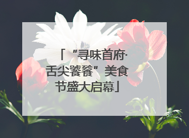 “寻味首府·舌尖饕餮”美食节盛大启幕