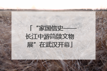 “家国信史——长江中游简牍文物展”在武汉开幕