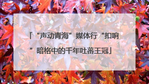 “声动青海”媒体行“扣响”暗格中的千年吐蕃王冠