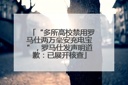 “多所高校禁用罗马仕两万毫安充电宝”，罗马仕发声明道歉：已展开核查