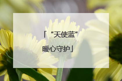 “天使蓝” 暖心守护