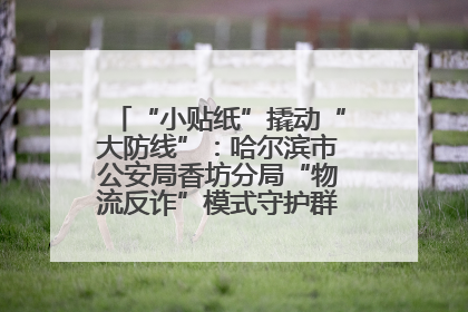 “小贴纸”撬动“大防线”：哈尔滨市公安局香坊分局“物流反诈”模式守护群众“钱袋子”