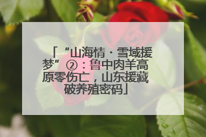 “山海情・雪域援梦”②：鲁中肉羊高原零伤亡，山东援藏破养殖密码