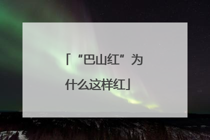 “巴山红”为什么这样红