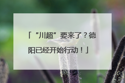 “川超”要来了？德阳已经开始行动！