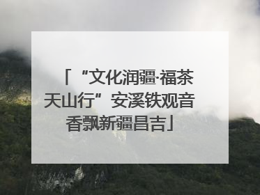 “文化润疆·福茶天山行”安溪铁观音香飘新疆昌吉