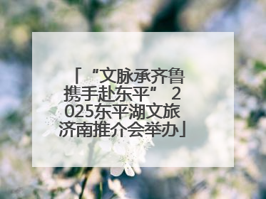 “文脉承齐鲁 携手赴东平” 2025东平湖文旅济南推介会举办