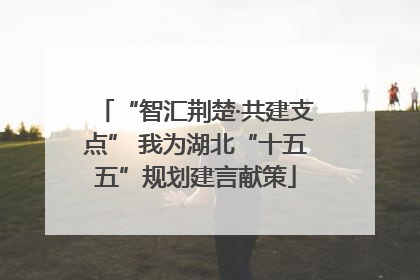 “智汇荆楚·共建支点” 我为湖北“十五五”规划建言献策