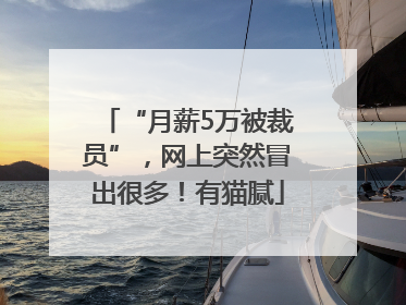 “月薪5万被裁员”，网上突然冒出很多！有猫腻
