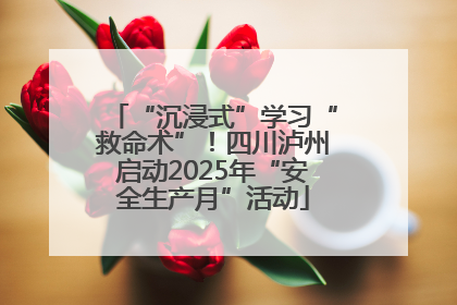 “沉浸式”学习“救命术”！四川泸州启动2025年“安全生产月”活动