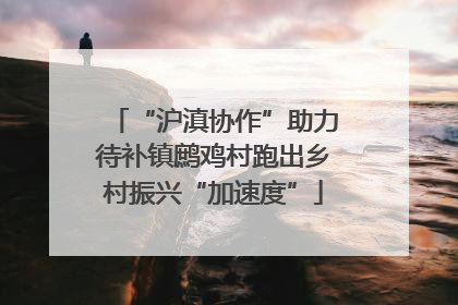 “沪滇协作”助力待补镇鹧鸡村跑出乡村振兴“加速度”