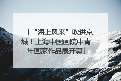 “海上风来”吹进京城！上海中国画院中青年画家作品展开幕