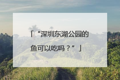 “深圳东湖公园的鱼可以吃吗？”