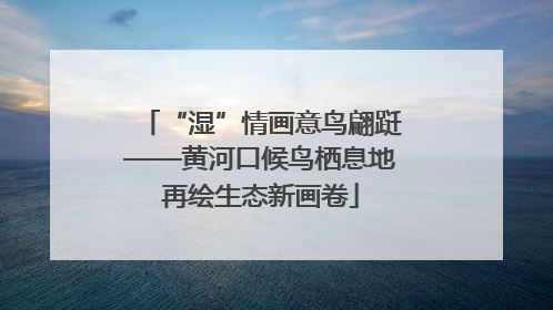 “湿”情画意鸟翩跹——黄河口候鸟栖息地再绘生态新画卷