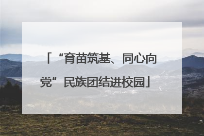 “育苗筑基、同心向党”民族团结进校园