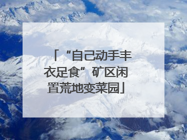 “自己动手丰衣足食”矿区闲置荒地变菜园