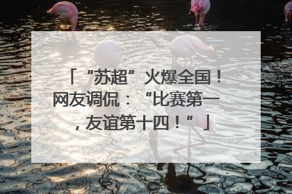 “苏超”火爆全国！网友调侃：“比赛第一，友谊第十四！”