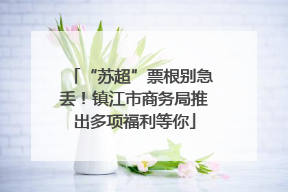 “苏超”票根别急丢！镇江市商务局推出多项福利等你