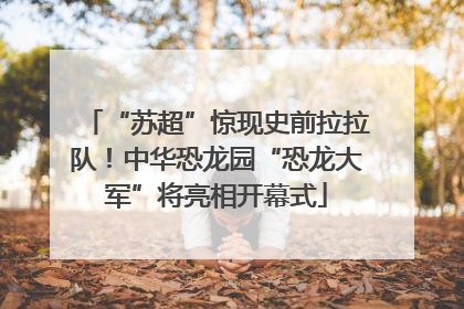 “苏超”惊现史前拉拉队！中华恐龙园“恐龙大军”将亮相开幕式