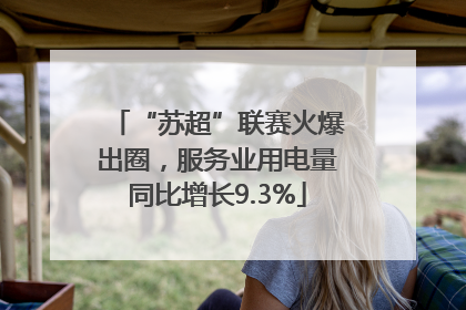 “苏超”联赛火爆出圈，服务业用电量同比增长9.3%