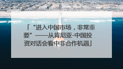 “进入中国市场，非常重要”——从肯尼亚-中国投资对话会看中非合作机遇