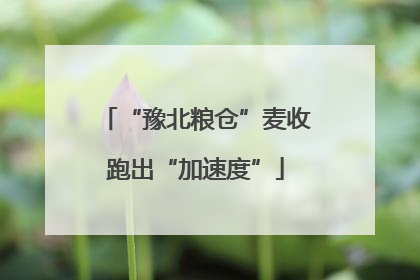 “豫北粮仓”麦收跑出“加速度”
